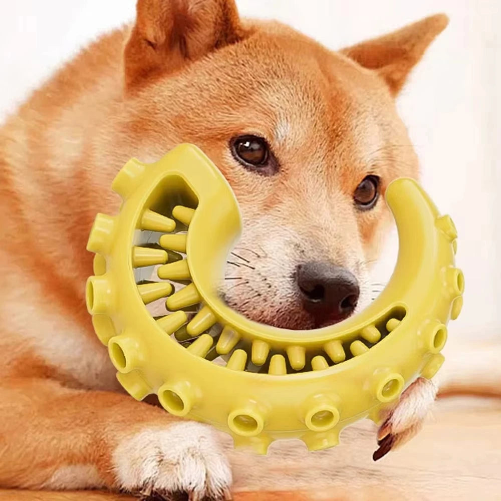 Bite Resistant Durable Dog Chew Teething Toys for Small Medium Dogs Pet Teeth Cleaning Fun Supplies Outdoor Kinetics