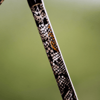 1 of 220 The Rattlesnake Casting Rod - Limited Edition Rod Catfish Pro