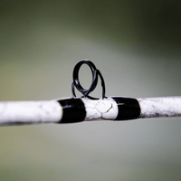 1 of 220 The Testament of Time Casting Rod - Limited Edition Rod Catfish Pro