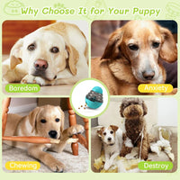 Dog Interactive Food Dispenser Toys Small Dogs Cats Pet IQ Training Improve Kitten Puppy Slow Shaking Leak Feeder Food Container Outdoor Kinetics