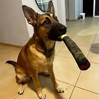 Funny Interactive Dog Toys Cigar Design Plush Squeaky Pet Toys Grinding Teeth Creative Chew Cool Stuffed Gifts for Dog Birthday Outdoor Kinetics
