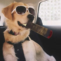 Funny Interactive Dog Toys Cigar Design Plush Squeaky Pet Toys Grinding Teeth Creative Chew Cool Stuffed Gifts for Dog Birthday Outdoor Kinetics