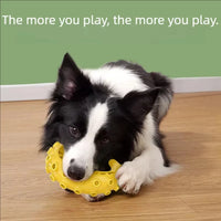 Bite Resistant Durable Dog Chew Teething Toys for Small Medium Dogs Pet Teeth Cleaning Fun Supplies Outdoor Kinetics