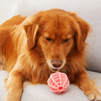 Durable Rubber Treat Dispensing Dog Ball Toy Bite Resistant Chew Toy For Teeth Grinding Boredom Relief Interactive Pet Training Outdoor Kinetics