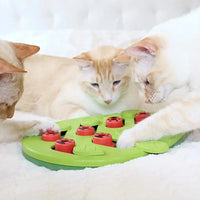 Cat Puzzle Treat Toy Made of High Quality Non Toxic Plastic with Playful and Interactive Style Adjustable Difficulty Mental Outdoor Kinetics