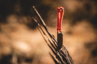 Ultralight Ridge Blade Ridge Belts
