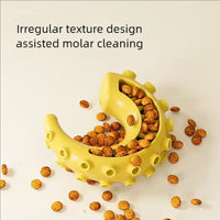 Bite Resistant Durable Dog Chew Teething Toys for Small Medium Dogs Pet Teeth Cleaning Fun Supplies Outdoor Kinetics