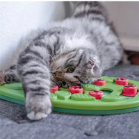 Cat Puzzle Treat Toy Made of High Quality Non Toxic Plastic with Playful and Interactive Style Adjustable Difficulty Mental Outdoor Kinetics