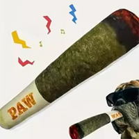 Funny Interactive Dog Toys Cigar Design Plush Squeaky Pet Toys Grinding Teeth Creative Chew Cool Stuffed Gifts for Dog Birthday Outdoor Kinetics