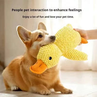 Indestructible Pet Toys for Aggressive Chewers Cats Dogs,Chew Squeak Toy Cats Dogs Interactive Plush Doll Pet Products Outdoor Kinetics
