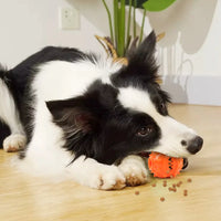 Dog Interactive Chew Treat Dispensing Ball - Self-Play, Boredom Relief, Bite-Resistant, Teeth Cleaning Pet Toy, Outdoor Kinetics
