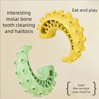 Bite Resistant Durable Dog Chew Teething Toys for Small Medium Dogs Pet Teeth Cleaning Fun Supplies Outdoor Kinetics